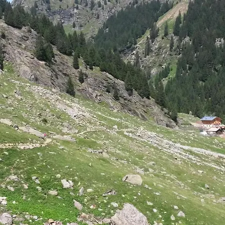 Διαμέρισμα Carpe Diem