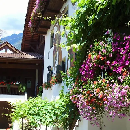 Carpe Diem Merano